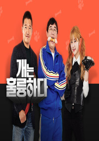 개는 훌륭하다