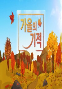 가을의 기적